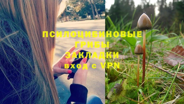 метамфетамин Алексин