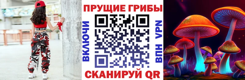 где можно купить наркотик  Ядрин  Галлюциногенные грибы прущие грибы 